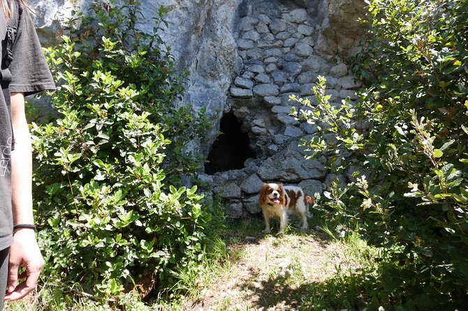 Footprints on the Battlefield Trails of Monte Cassino - Customer Feedback
