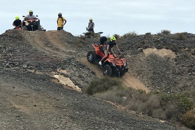 Forest Quad Trip in South Tenerife Review - Highlights of the Adventure