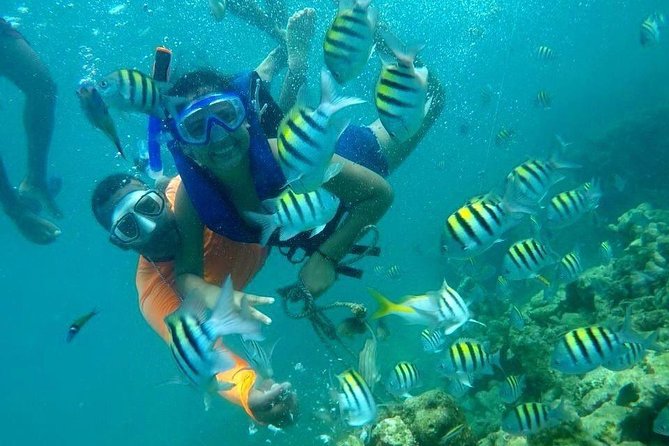 Four Islands Experience Isla Baru - Accessibility Information