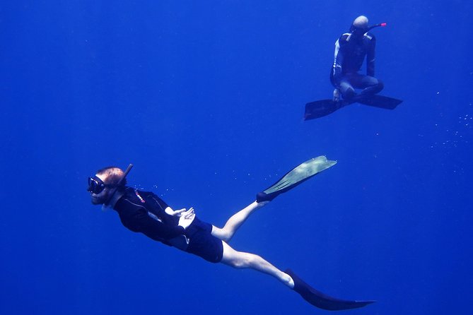 Freediver Advanced (Start at Koh Chang) - Accessibility Features