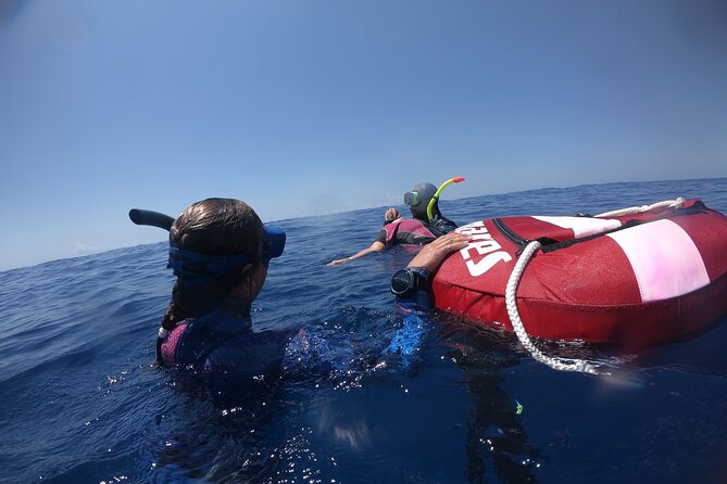 Freediver Certification Course - Equipment Provided