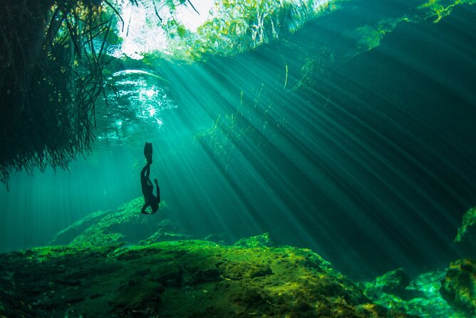 Freediving Intro for Beginners in a Cenote in Tulum Mexico - Transportation and Meeting Point Details
