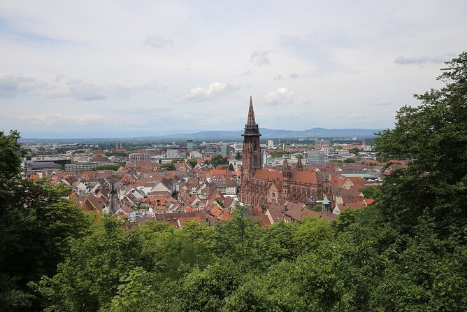 Freiburg - Historic Walking Tour - Tour Details