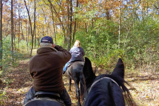 Friesian Herd Tours, Workshops, Classes and Retreats in the Kettle Moraine Area. - Customer Reviews and Ratings