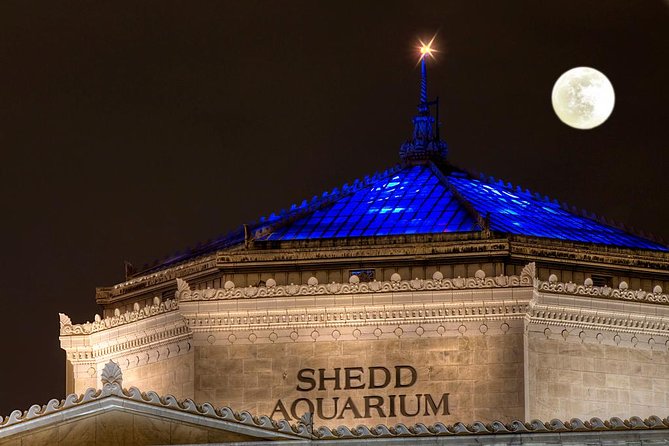 Fright Hike: Chicago Halloween Bike Tour - Tour Experience