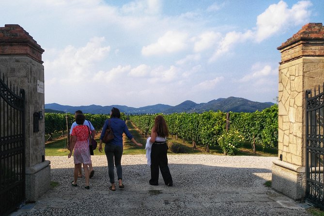 From Abano Montegrotto, Wine Tour in the Euganean Hills - Transportation and Logistics