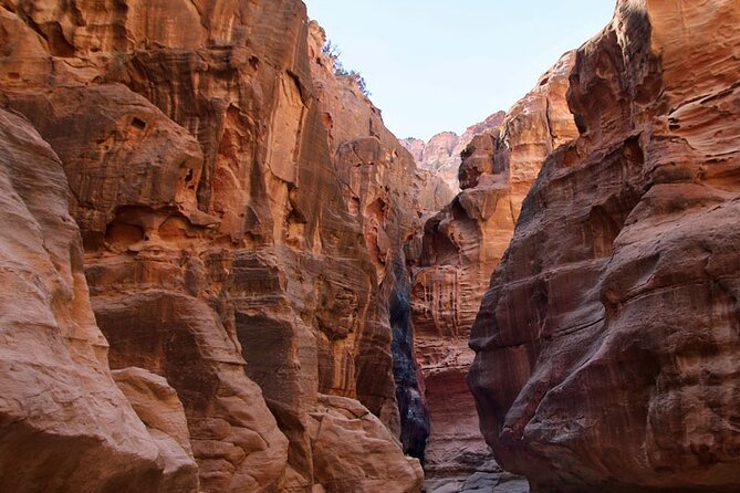 From Amman to Petra and Wadi Rum ( Private Two Days) - Wadi Rum Adventures