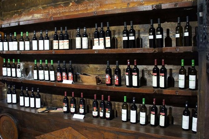 From Bucharest: Private Wine Tasting Tour in Dealu Mare Wineland - Important Details