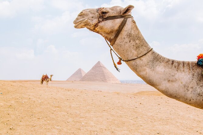From Cairo: Private Crowd Free Half Day Pyramids Adventure - Highlights of the Itinerary