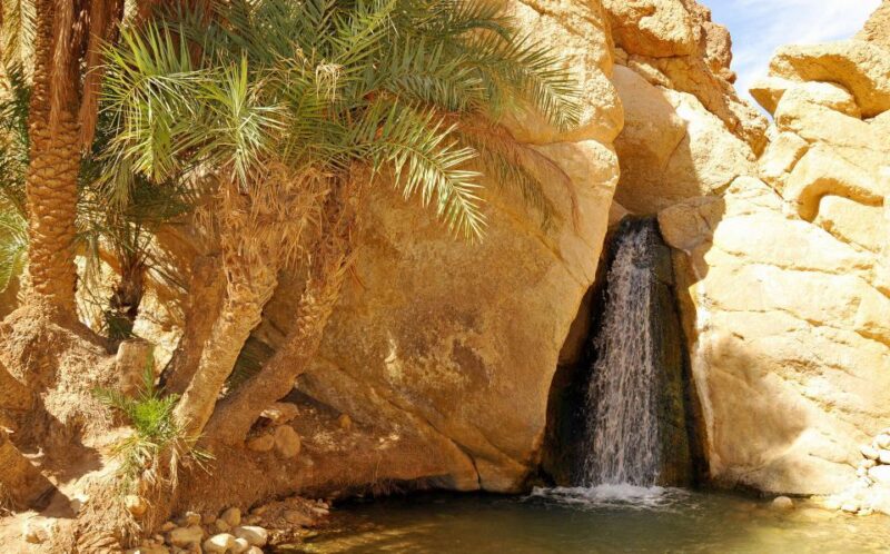 From Djerba: 2-Day Tour of Tozeur and Mountain Oasis - Pricing and Inclusions