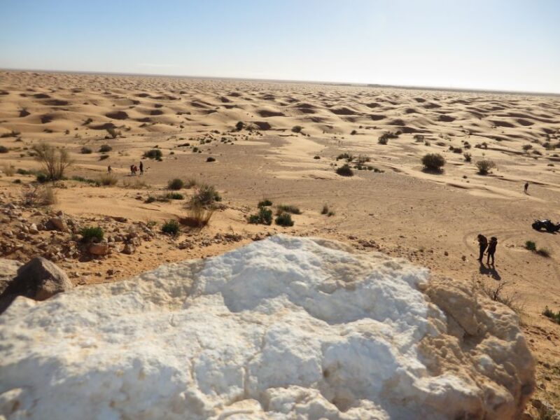 From Djerba: Full-Day Ksar Ghilane, Sahara and Oasis Tour - Itinerary Details