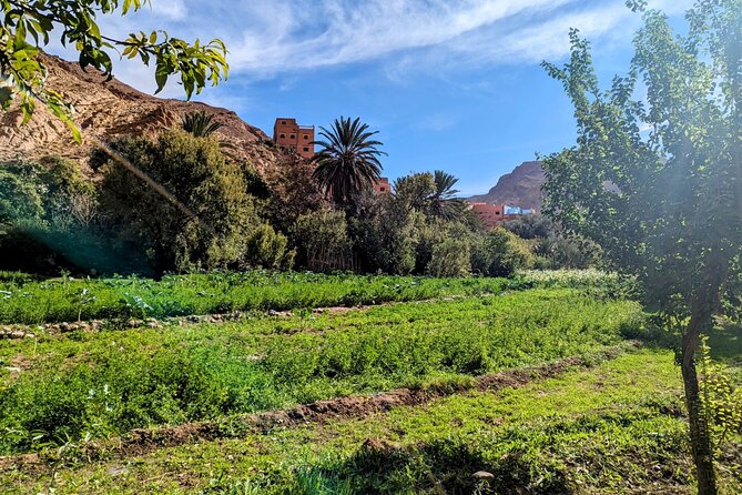 From Fes to Marrakech: 4 Day Group Tour via the Desert Merzouga - Meeting and Pickup Details