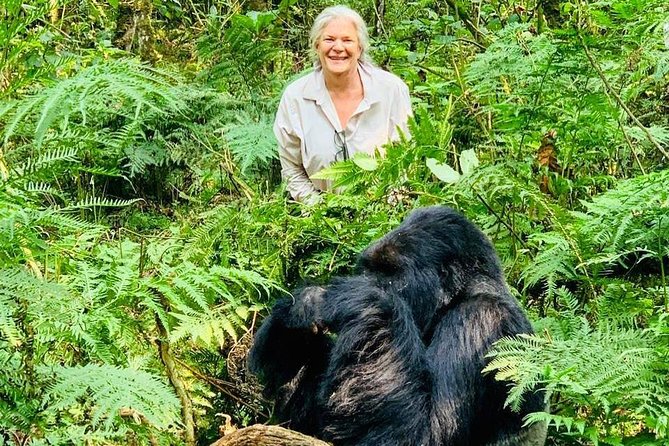 From Kigali: 3 Days Gorillas and Golden Monkeys Trek Adventure - Golden Monkey Trekking