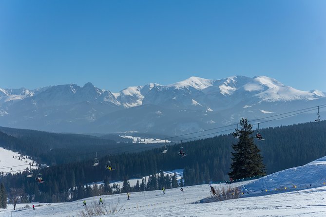 From Kraków: Slovakia Treetop Walk and Bachledka Ski - Traveler Experiences and Feedback