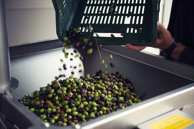 From Olives to Oil: Tasting With Lunch or Dinner - Cancellation and Flexibility