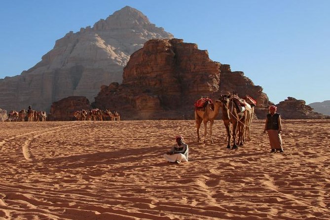 From Petra to Wadi Rum Back to Amman or Airport - Accessibility and Suitability