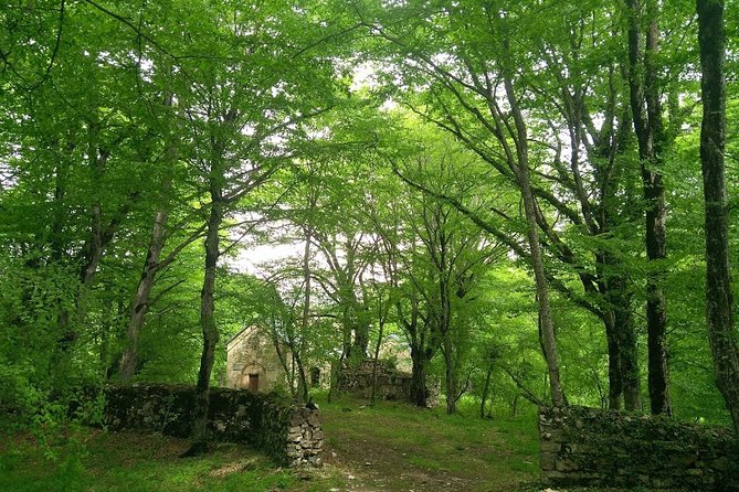 From Tbilisi : Khevsureti Day Trip (Shatili & Anatori Necropolis) - Highlights of the Day Trip