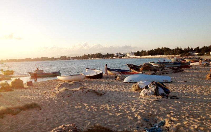 From Tunis or Hammamet: Hammamet and Nabeul Tour - Inclusions