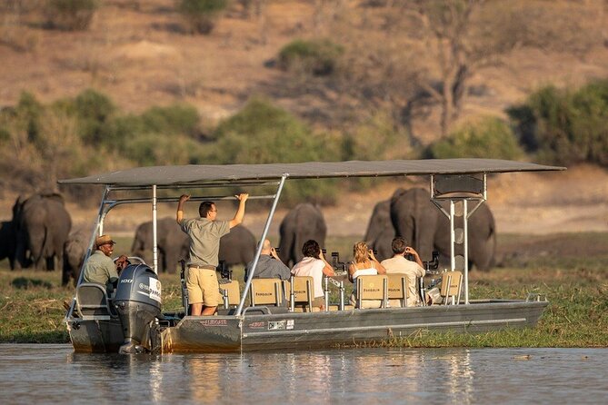 From Victoria Falls: a Full Day Chobe Safari With Buffet Lunch - Booking Details and Cancellation Policy