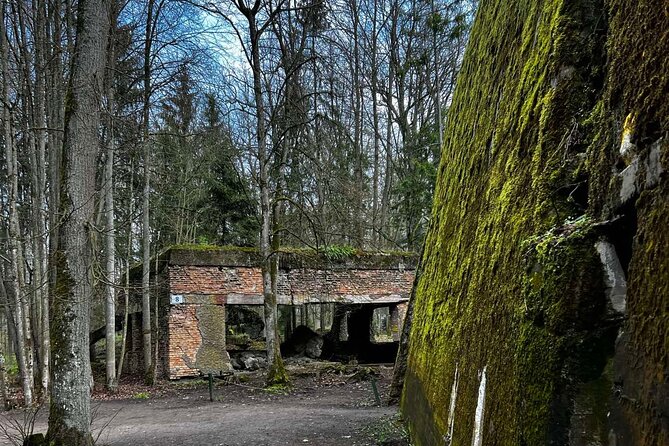 From Vilnius: Private Day Tour to Wolfs Liar (Hitlers Bunker) - Reviews and Ratings