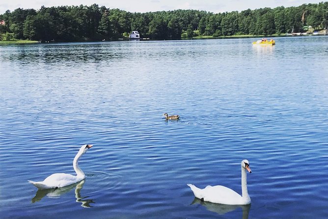 From Vilnius: Private Tour to Trakai - Accessibility Features