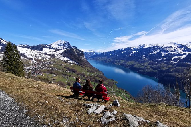 From Zurich: Breathtaking Waterfall and Lakes Private Tour - Convenient and Hassle-Free Transportation