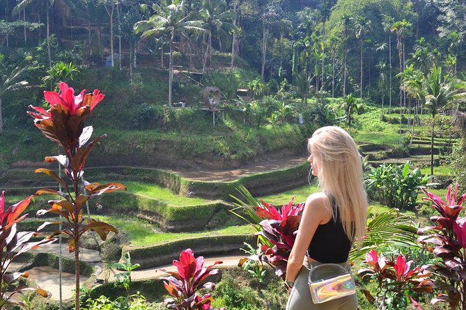 Full Board Package 3 Days Highlight Bali All Inclusive - Pickup Locations and Times