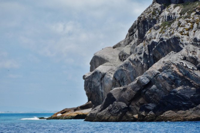 Full-Day Arraial Do Cabo Tour With Lunch From Rio De Janeiro - Lunch at a Local Restaurant