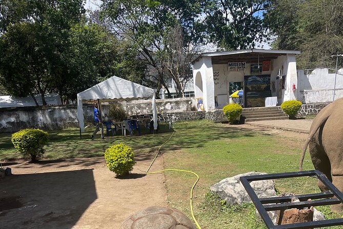Full Day Arusha City Tour - Tour Experience Highlights