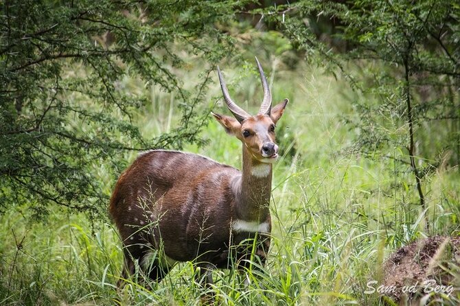 Full-Day Baviaanskloof Reserve Safari - Safari Schedule and Availability