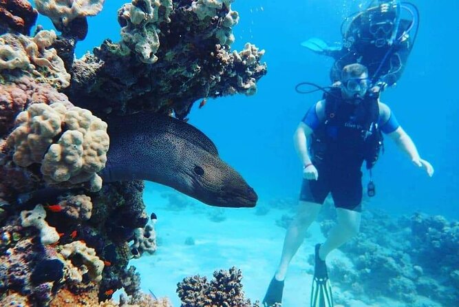 Full Day Diving for Beginners With Lunch in Hurghada - Discovering the Underwater World