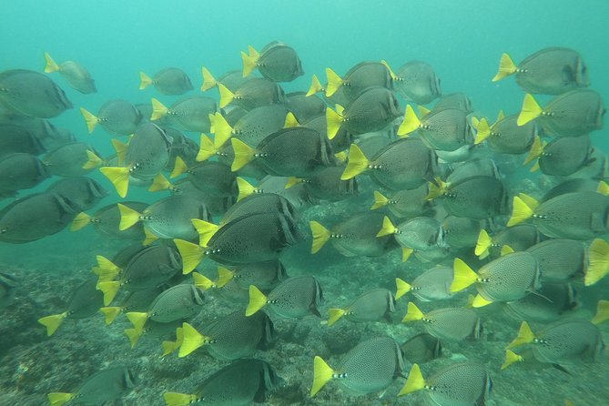 Full-Day Experience in Banderas Bay - Local Village Visits