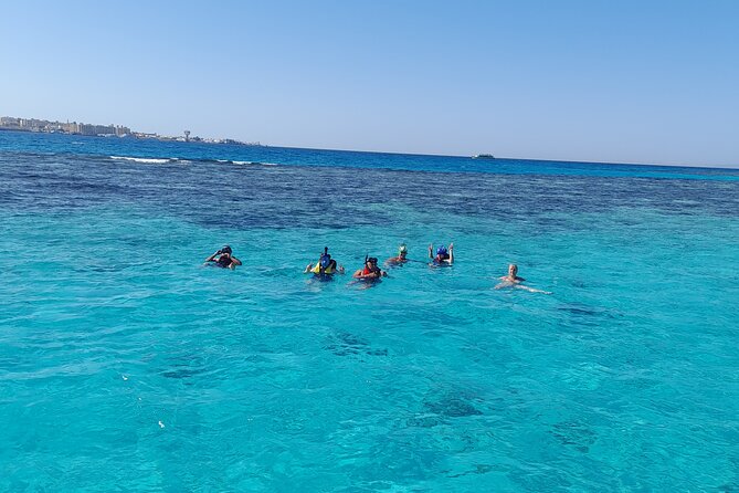 Full-Day Experience With Dolphins and Snorkeling in Red Sea - Traveler Ratings and Recommendations