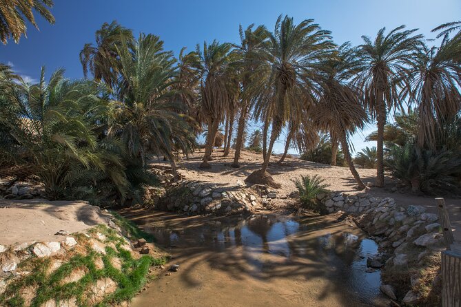 Full-Day Exploring The Land Of Midian & The Split Rock Of Moses - Gulf of Aqaba