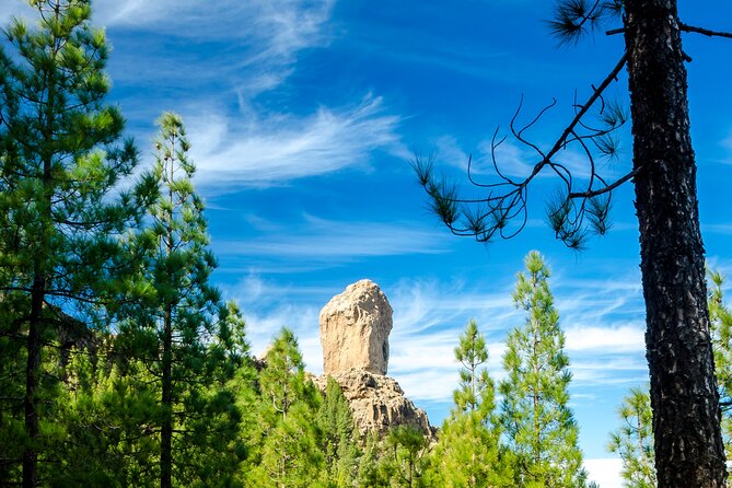 Full-Day Gran Canaria Tour With Teror, Tejeda and Lunch in Fataga - Transportation and Accessibility
