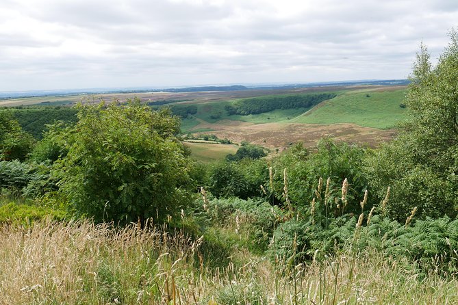 Full-Day Heartbeat Locations Tour From York - Pickering and Goathland