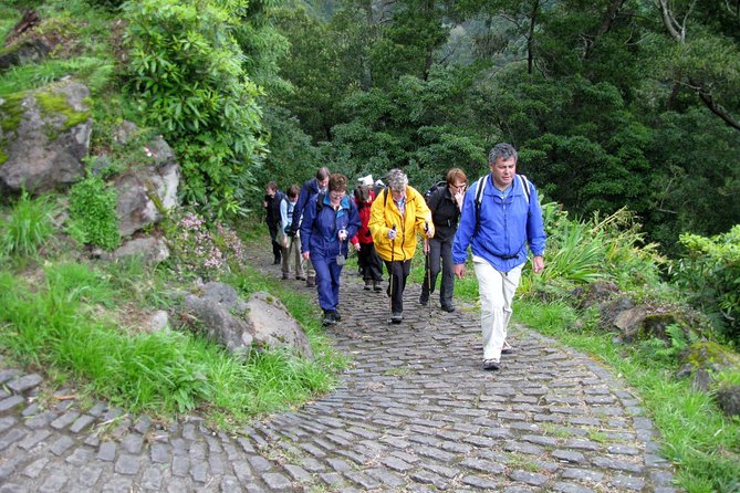 Full Day Hiking Faial Da Terra (Min. 2 Persons) - Tour Highlights