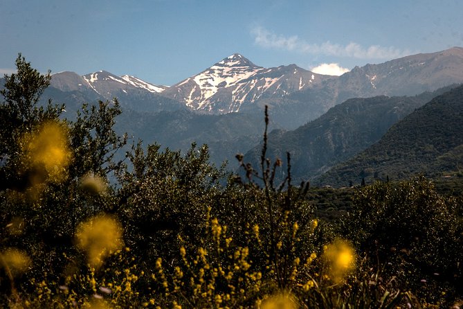 Full-Day Hiking Mount Taygetos Summit With Picnic - Health and Safety Considerations