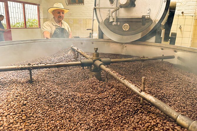 Full Day Learning About the Process of the Best Coffee in the World - Exploring the Coffee Farm