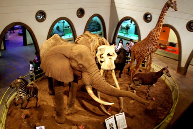 Full-Day Nairobi National Museum, Giraffe Centre and Nairobi National Park Tour - Nairobi National Park: Wildlife Viewing With Skyline