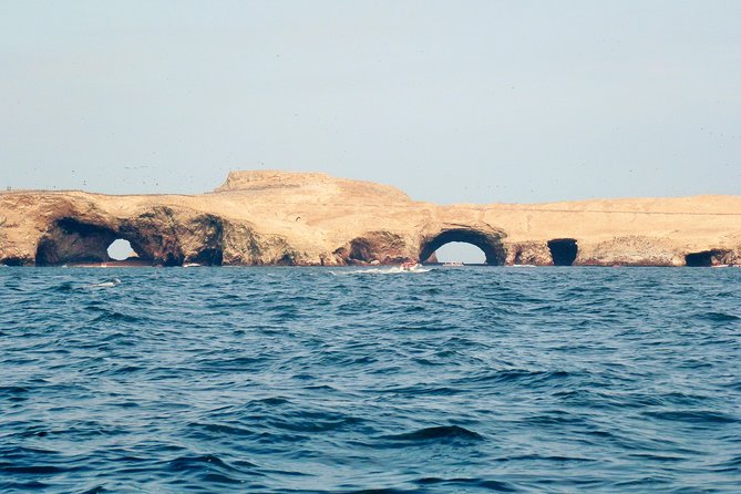 Full Day Paracas - Cancellation and Flexibility