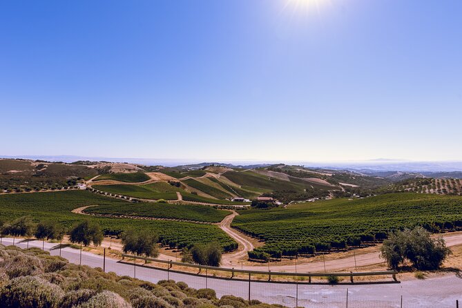 Full-Day Paso Robles Winery Tour With Picnic - Pickup and Meeting Information