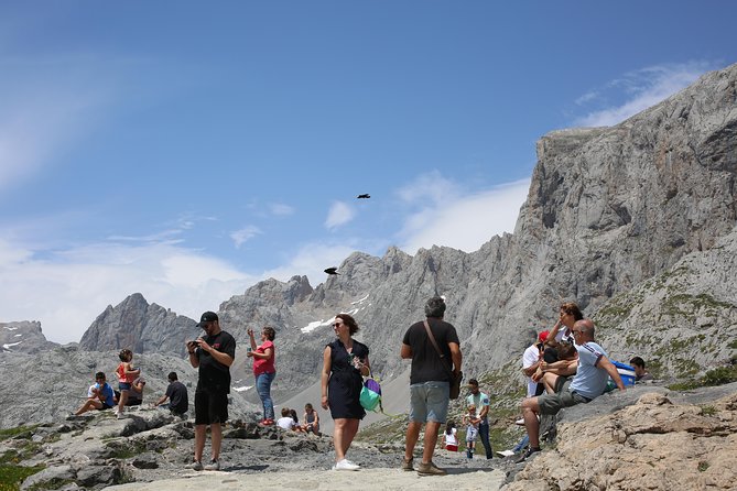 Full Day Private 4WD Tour From Bilbao to Picos De Europa. Fine Meals. - Transportation and Logistics