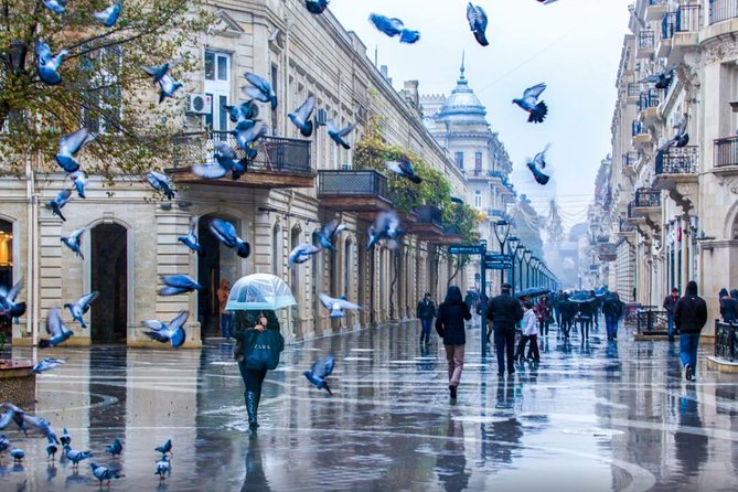Full-day Private Baku City Tour - Meeting and Pickup Details