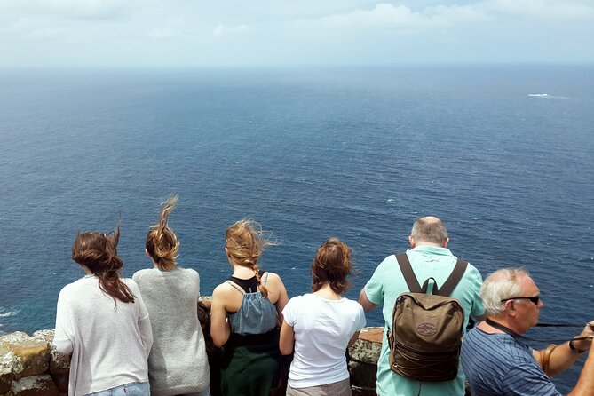 Full-Day Private Cape Peninsula Tour - Pickup Information