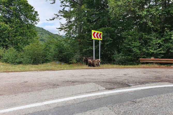 Full-Day Private Carpatian Garden With Draculas Fortress - Wild Brown Bears - Itinerary Adjustments