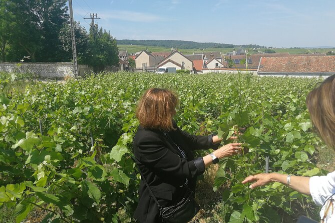 Full-Day Private Champagne Tasting in Reims and Its Vineyards - Champagne House Tastings