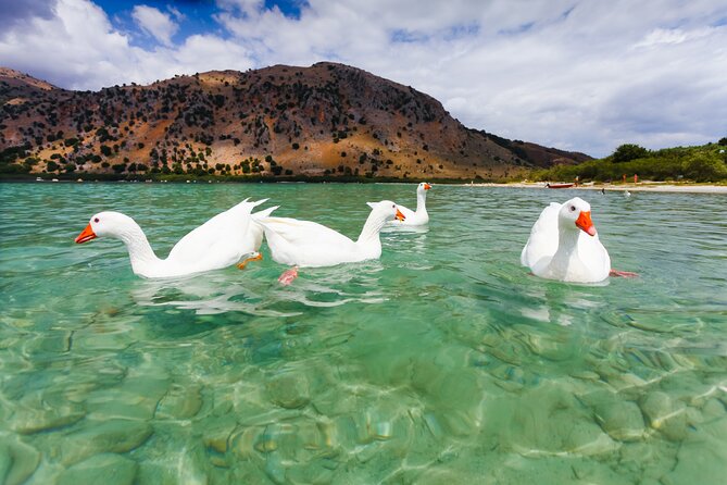 Full Day Private Chania Sights and Lake Kournas Tour - Enjoying the Tranquility of Lake Kournas
