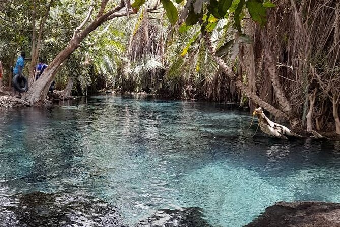 Full Day Private Materuni Waterfall and Kikuletwa Hot Spring Tour - Health and Accessibility