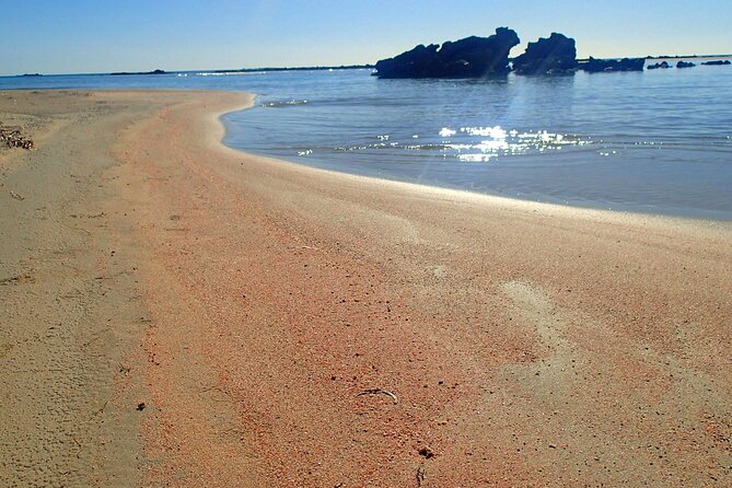 Full Day Private Minivan Tour to Elafonisi Beach and Kedrodasos - Customization Options